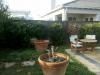 Backyard 2